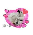 うにときす♡（個別スタンプ：20）