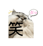 うにときす♡（個別スタンプ：27）