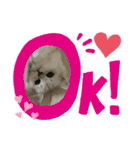 うにときす♡（個別スタンプ：30）