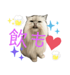 うにときす♡（個別スタンプ：31）