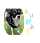 Luna♡Tapi（個別スタンプ：8）