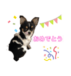 Luna♡Tapi（個別スタンプ：13）