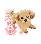 毎日いぬ全開（個別スタンプ：3）