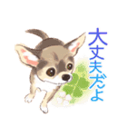 毎日いぬ全開（個別スタンプ：4）