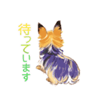 毎日いぬ全開（個別スタンプ：5）