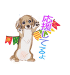 毎日いぬ全開（個別スタンプ：11）