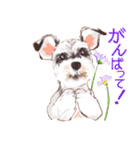 毎日いぬ全開（個別スタンプ：21）