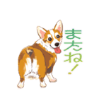 毎日いぬ全開（個別スタンプ：23）