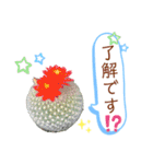 多肉＆サボテン シリーズ①（個別スタンプ：2）