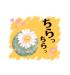 多肉＆サボテン シリーズ①（個別スタンプ：7）
