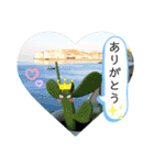 多肉＆サボテン シリーズ①（個別スタンプ：9）