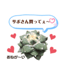 多肉＆サボテン シリーズ①（個別スタンプ：10）