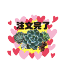 多肉＆サボテン シリーズ①（個別スタンプ：16）