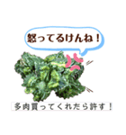 多肉＆サボテン シリーズ①（個別スタンプ：20）