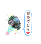 多肉＆サボテン シリーズ①（個別スタンプ：21）
