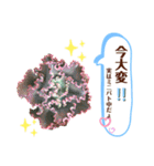 多肉＆サボテン シリーズ①（個別スタンプ：23）