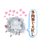 多肉＆サボテン シリーズ①（個別スタンプ：29）