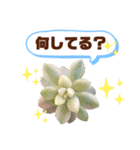 多肉＆サボテン シリーズ①（個別スタンプ：30）