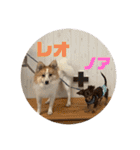 レオノア兄弟（個別スタンプ：1）