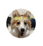 レオノア兄弟（個別スタンプ：8）