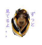 レオノア兄弟（個別スタンプ：9）