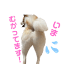 レオノア兄弟（個別スタンプ：10）