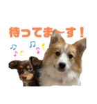 レオノア兄弟（個別スタンプ：14）