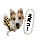 レオノア兄弟（個別スタンプ：20）