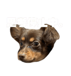 レオノア兄弟（個別スタンプ：30）