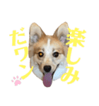 レオノア兄弟（個別スタンプ：39）