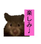 おはぎに会いたい（個別スタンプ：2）