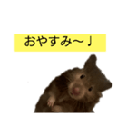 おはぎに会いたい（個別スタンプ：3）