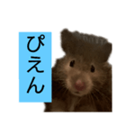 おはぎに会いたい（個別スタンプ：4）