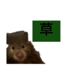 おはぎに会いたい（個別スタンプ：6）