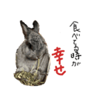 ウサギのきもち。（個別スタンプ：4）