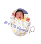 きーらー（個別スタンプ：11）