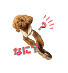 MOCA  stamp（個別スタンプ：1）