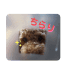 MOCA  stamp（個別スタンプ：3）