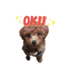 MOCA  stamp（個別スタンプ：6）