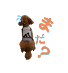 MOCA  stamp（個別スタンプ：9）