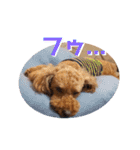 MOCA  stamp（個別スタンプ：14）