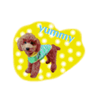 MOCA  stamp（個別スタンプ：15）