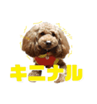 MOCA  stamp（個別スタンプ：16）