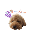 MOCA  stamp（個別スタンプ：17）