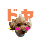 MOCA  stamp（個別スタンプ：18）