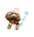 MOCA  stamp（個別スタンプ：20）