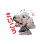 MOCA  stamp（個別スタンプ：21）