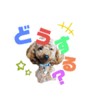 MOCA  stamp（個別スタンプ：22）