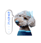 MOCA  stamp（個別スタンプ：23）