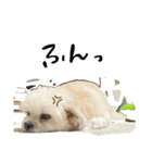 まるちゃんすたんぷ︎︎☺︎（個別スタンプ：14）
